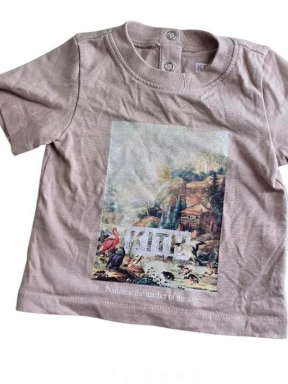 Kith Light Pink Scenic Graphic Short Sleeve Tee
